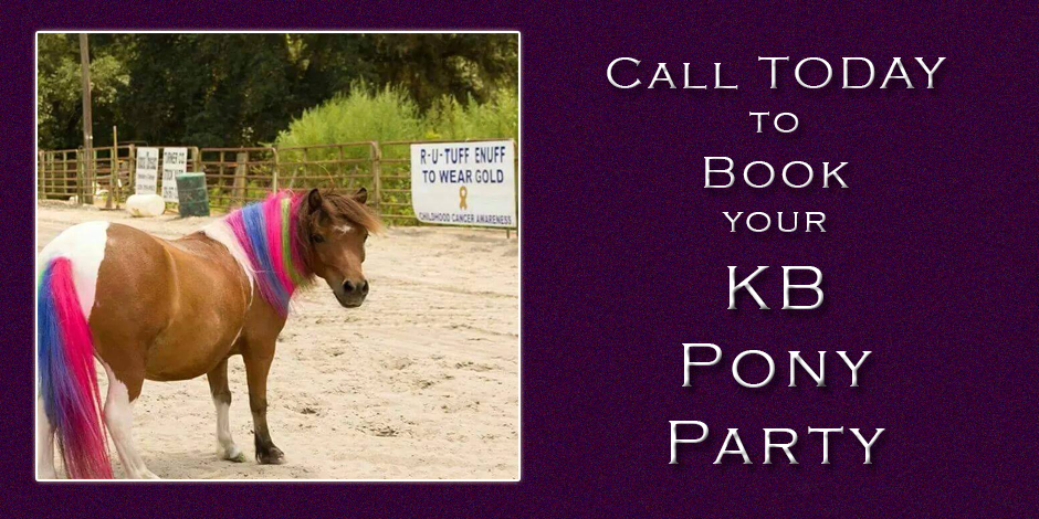 Pony Parties with KB Horse Camp